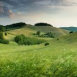 home hero 1024x756.jpg