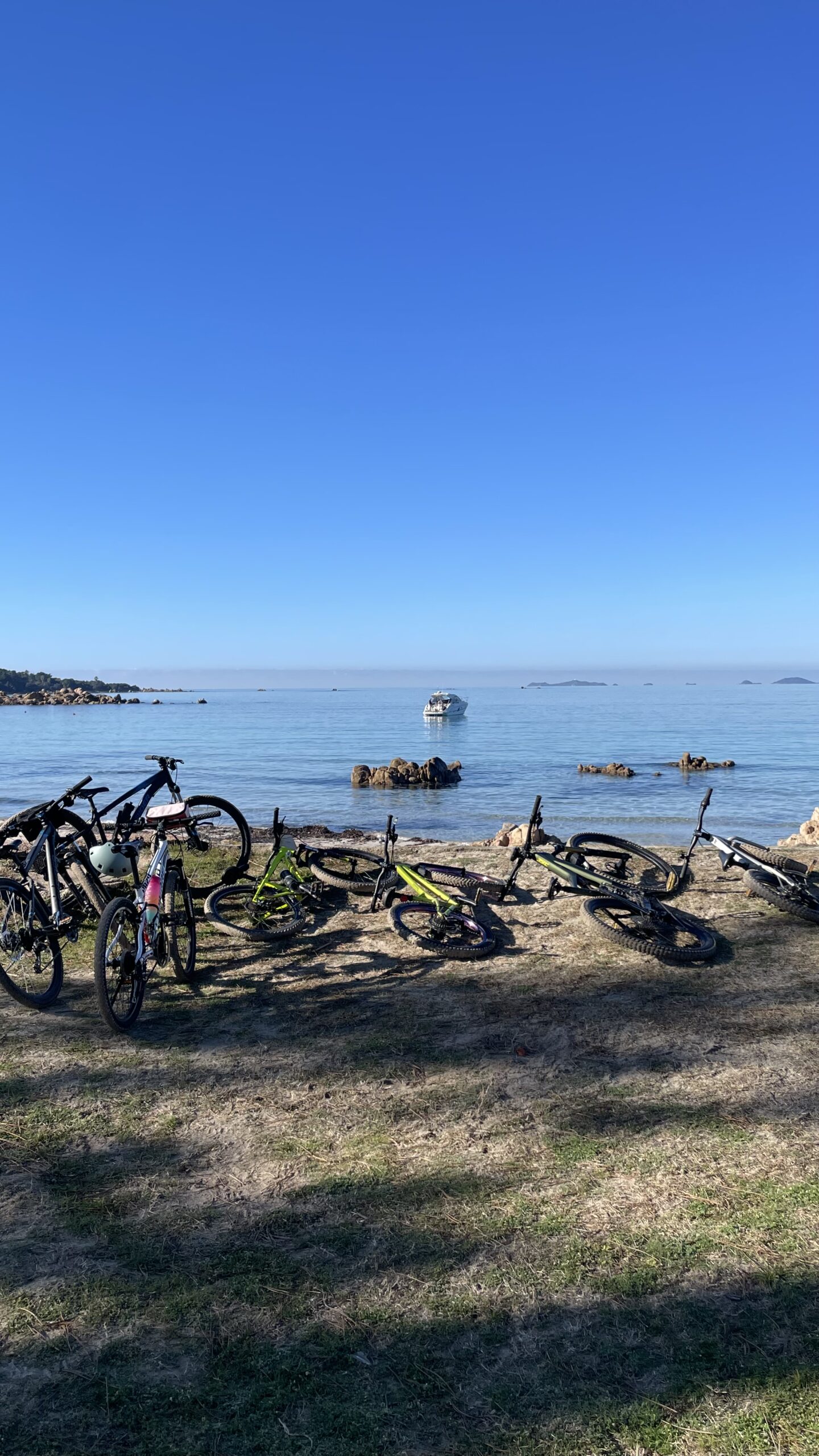 services-02 IMG 4239 Scaled