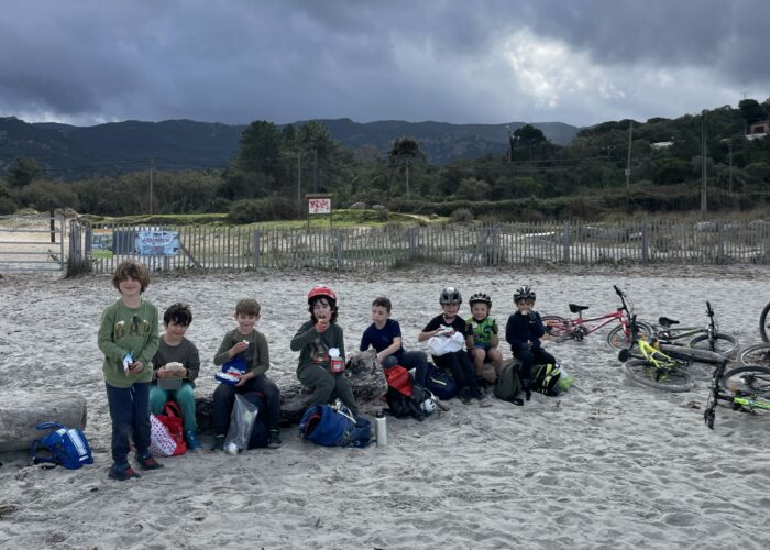 img 5931 1 img 5931 1