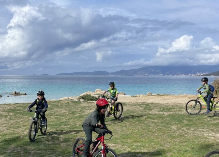 IMG_5942 IMG 5942 Scaled 700x500