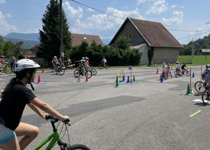 IMG_6662 IMG 6662 2 Scaled 700x500